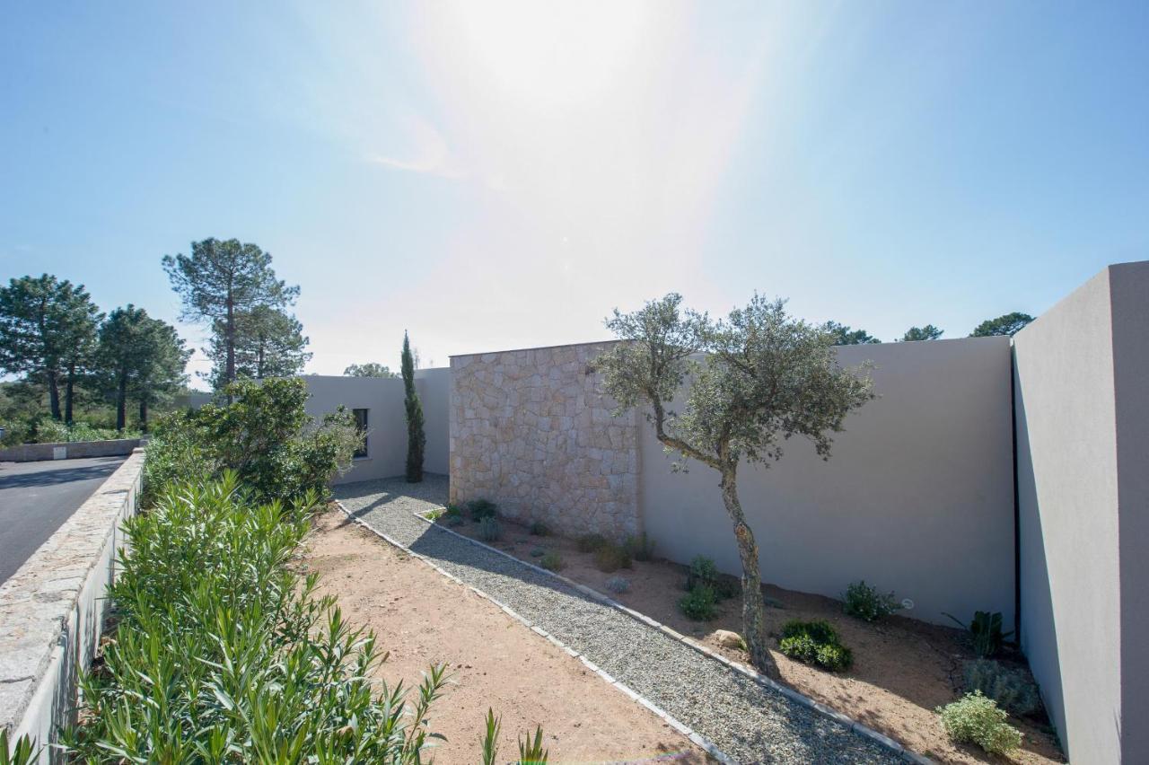 Villa Calme Luxueuse Et Proche Plage Saint-Cyprien Леччи Экстерьер фото